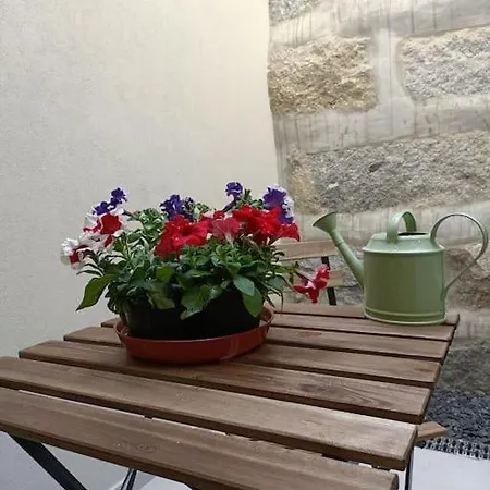 Apartment Studio Historical City Center - Braga